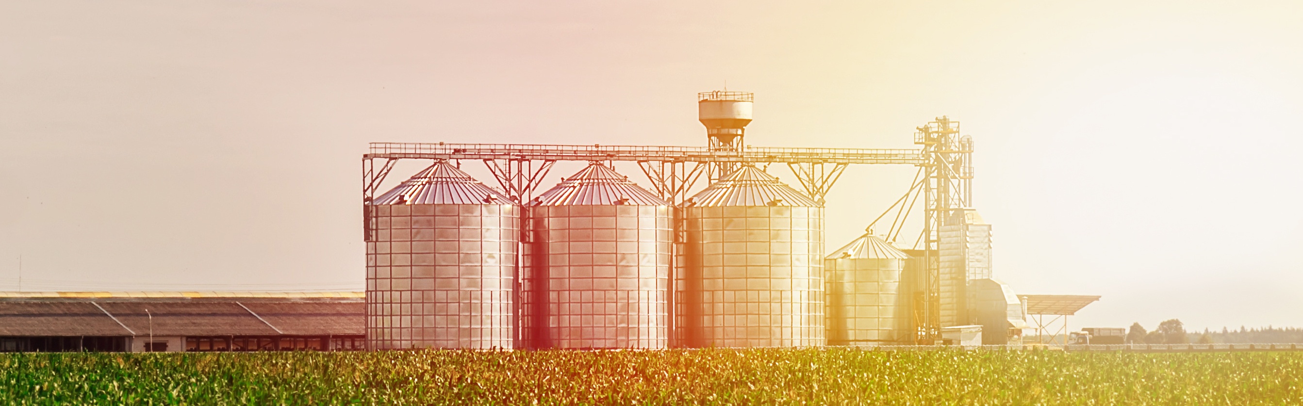 Why We Launched Indigo Marketplace™